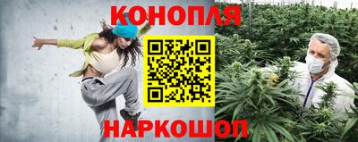 а пвп мука Будённовск